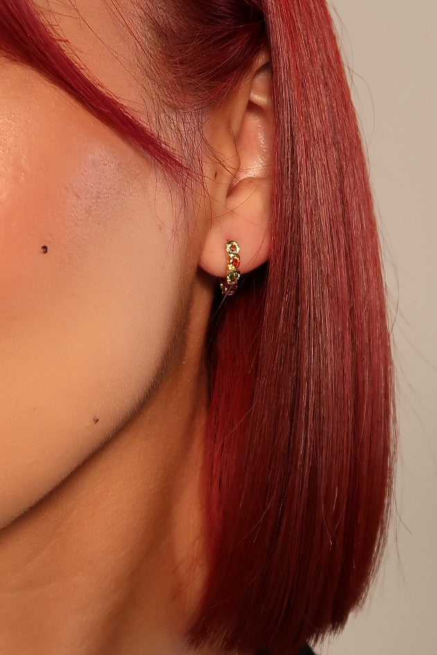Pride - The Andy Earrings