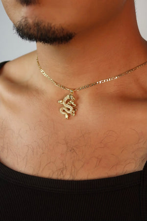 The Dragon Pendant