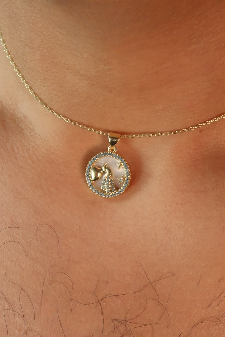 The Colors & Pearl Back Zodiac Pendants