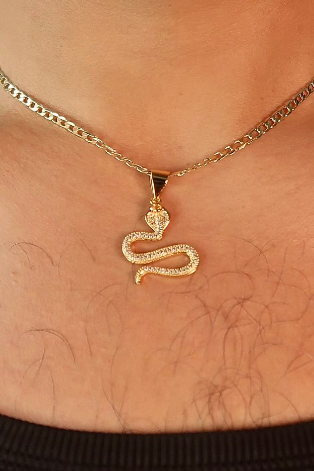 The Cobra Pendant