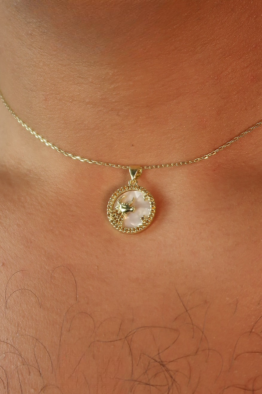 The Colors & Pearl Back Zodiac Pendants