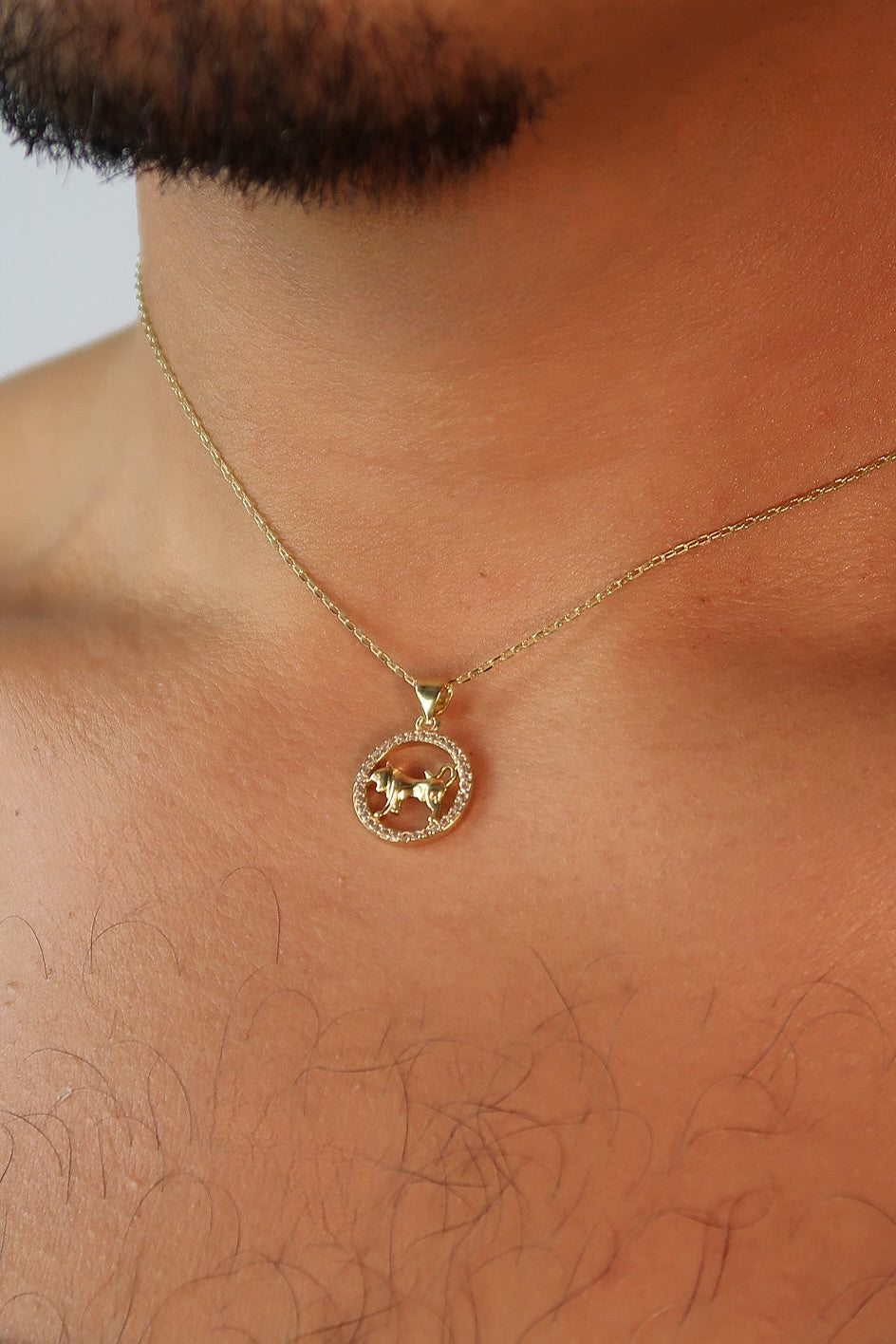 The Colors & Pearl Back Zodiac Pendants